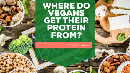 Where Do Vegans Get Their Protein From?