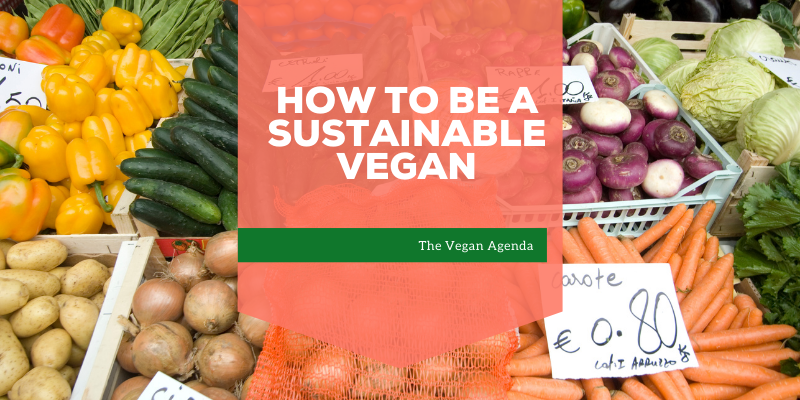 How To Be a sustainable vegan