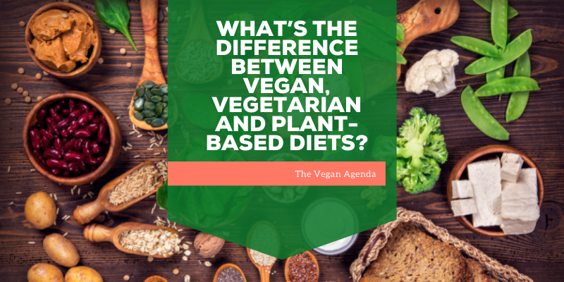 What’s the difference between Vegan, Vegetarian and Plant-Based Diets?