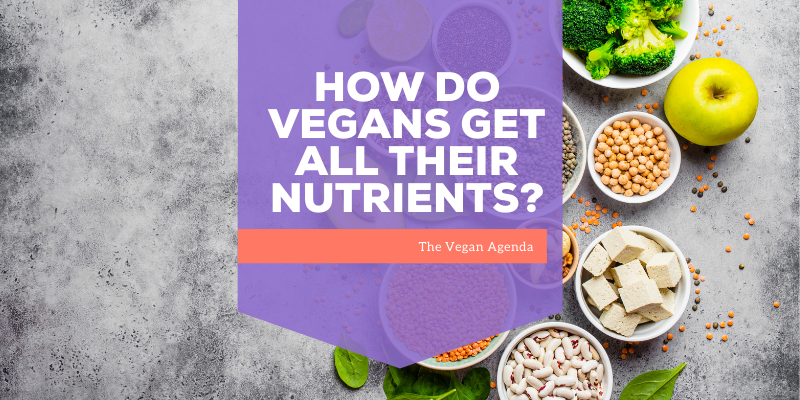 how do vegans get all their nutrients?