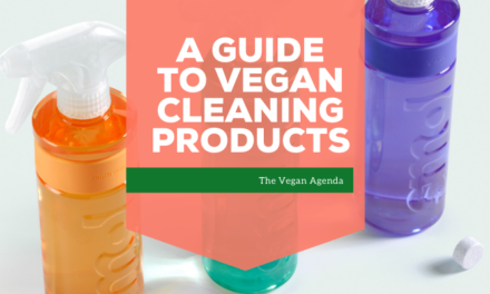A Guide to Vegan cleaning products