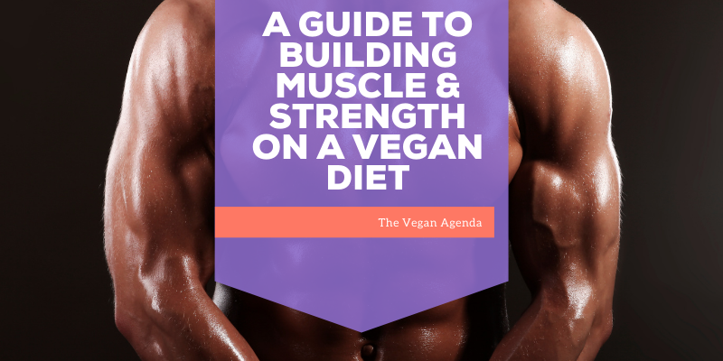 A Guide to Building Muscle and Strength on a Vegan Diet