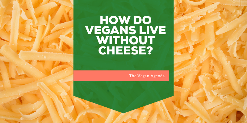 How Do Vegans Live Without Cheese?