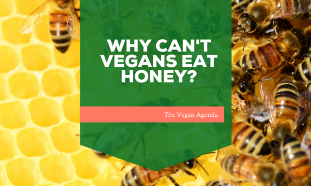 Why can’t vegans eat honey?