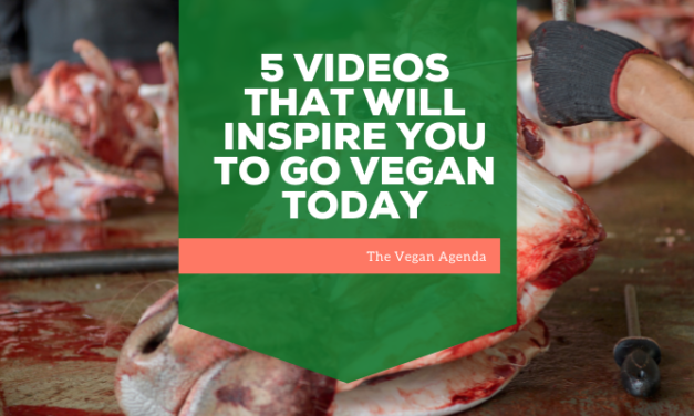 5 Videos That Will Inspire You to Go Vegan Today