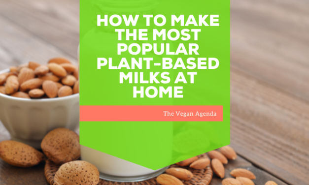 How to Make the Most Popular Plant-Based Milks at Home