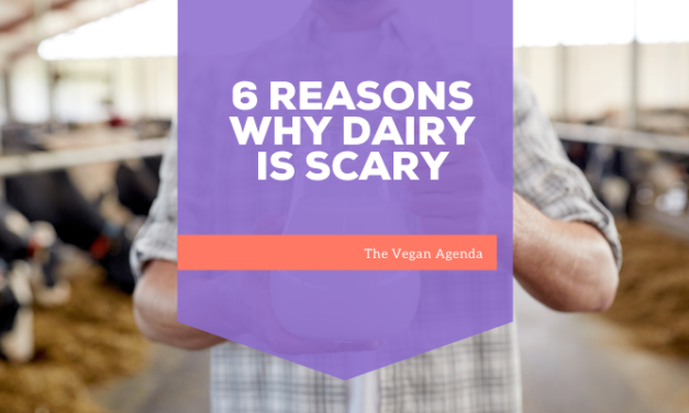 6 Reasons Why Dairy is Scary