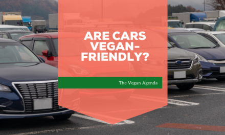 Are Cars Vegan-friendly?