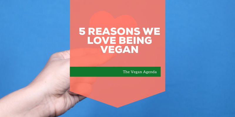 5 Reasons We Love Being Vegan