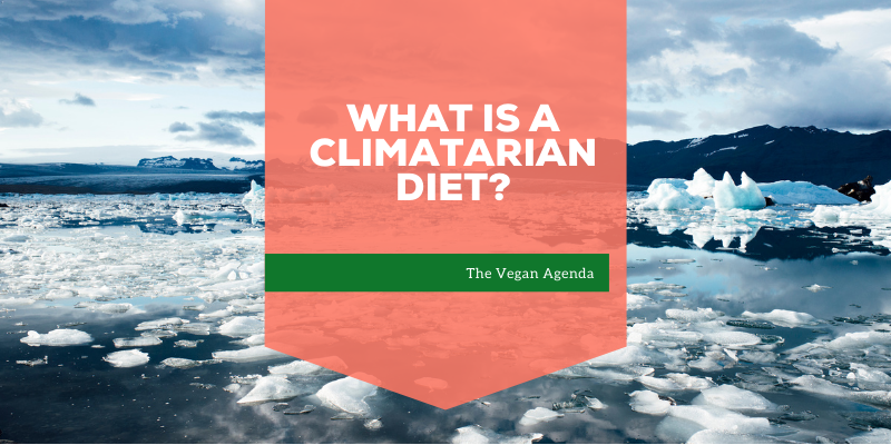 What is a Climatarian Diet?