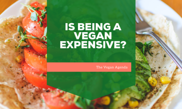 Is Being a Vegan Expensive?