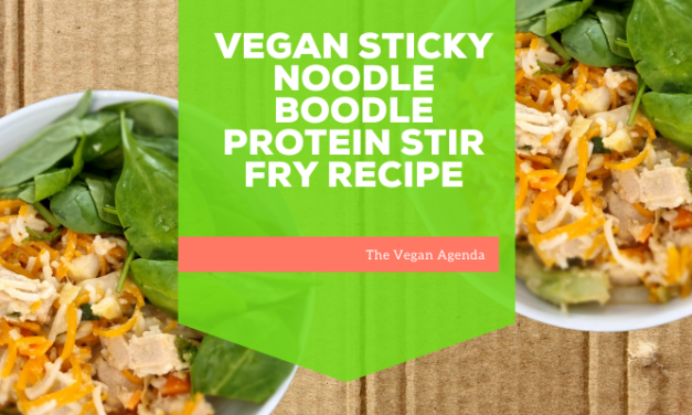 Vegan Sticky Noodle Boodle Protein Stir Fry Recipe