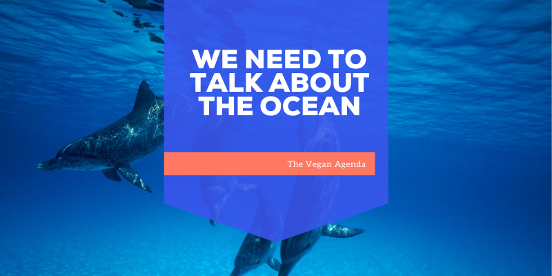 We Need to Talk About the Ocean