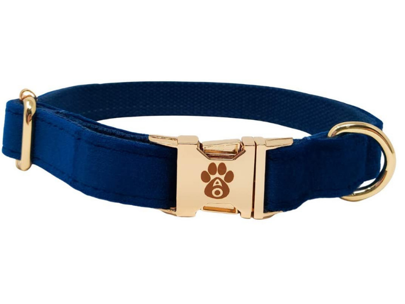 Velvet Collection Vegan Blue and Gold Dog Collar nimal Outfitters UK