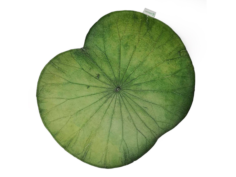 Green Lotus Leaf Placemats