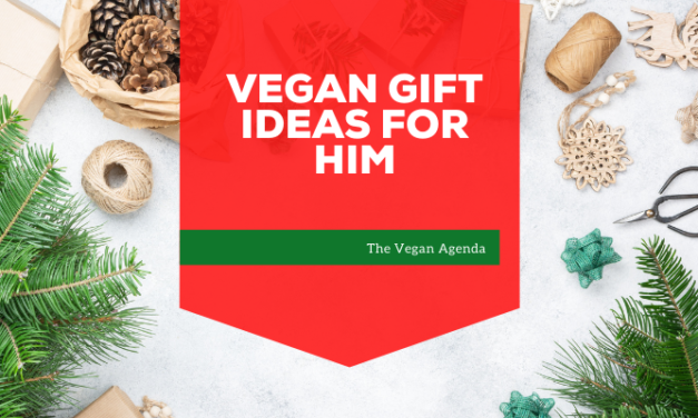 Vegan Gift Ideas for Him