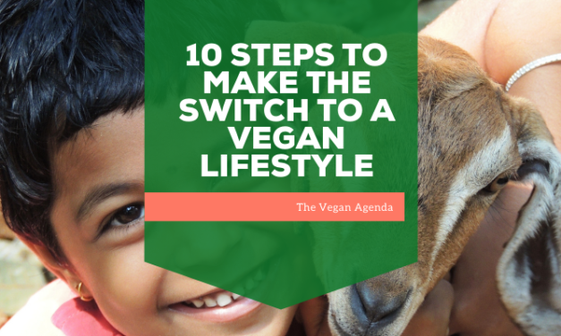10 STEPS to Make the Switch to a Vegan Lifestyle
