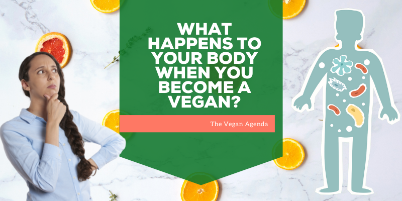 What Happens to Your Body When You Become a Vegan?