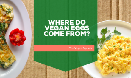 Where Do Vegan Eggs Come From?